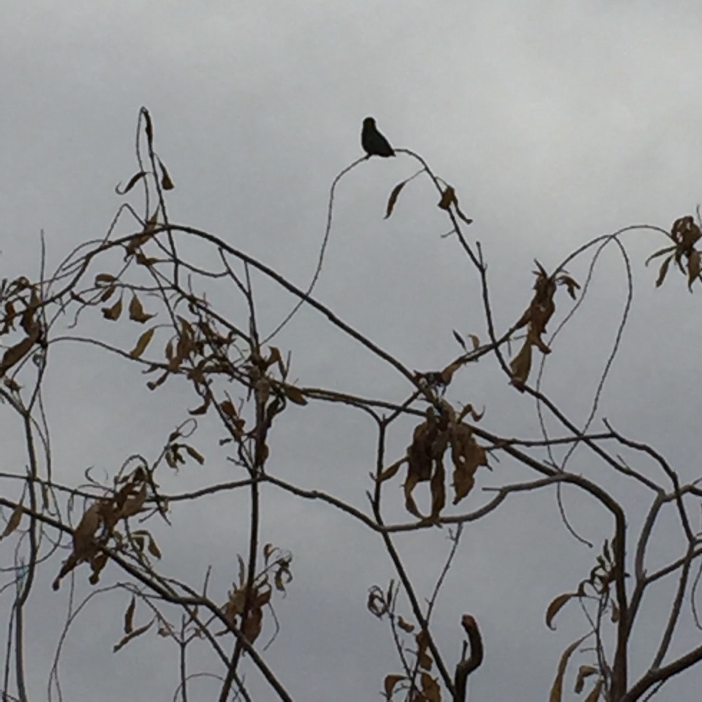 LAUGH HARD. RUN FAST. BE KIND.